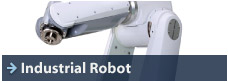 Industrial Robot